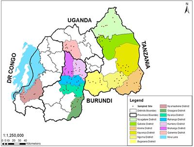 Farmer and Field Survey in Cassava-Growing Districts of Rwanda Reveals Key Factors Associated With Cassava Brown Streak Disease Incidence and Cassava Productivity